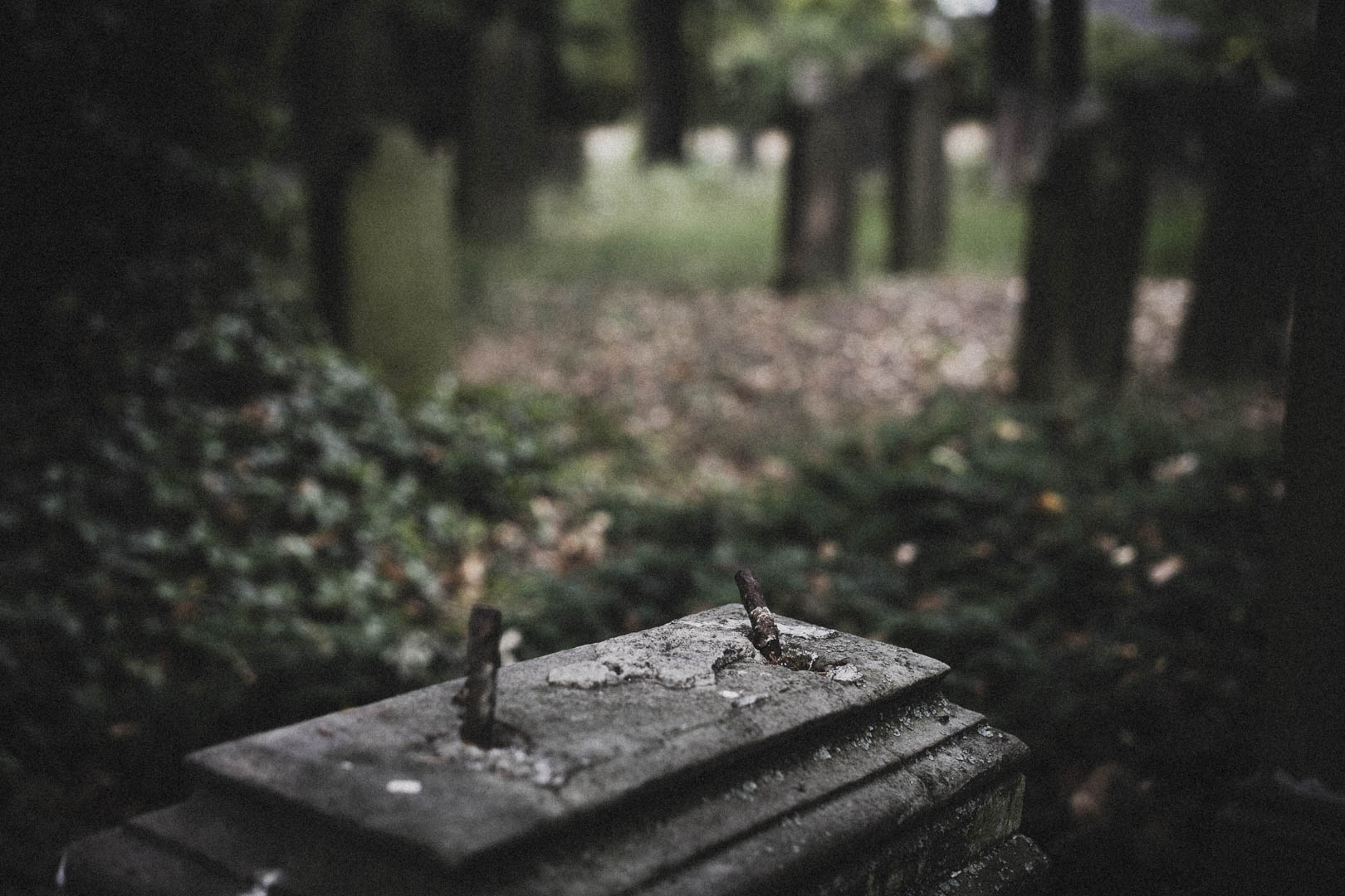 Rheda Wiedenbrück 0512